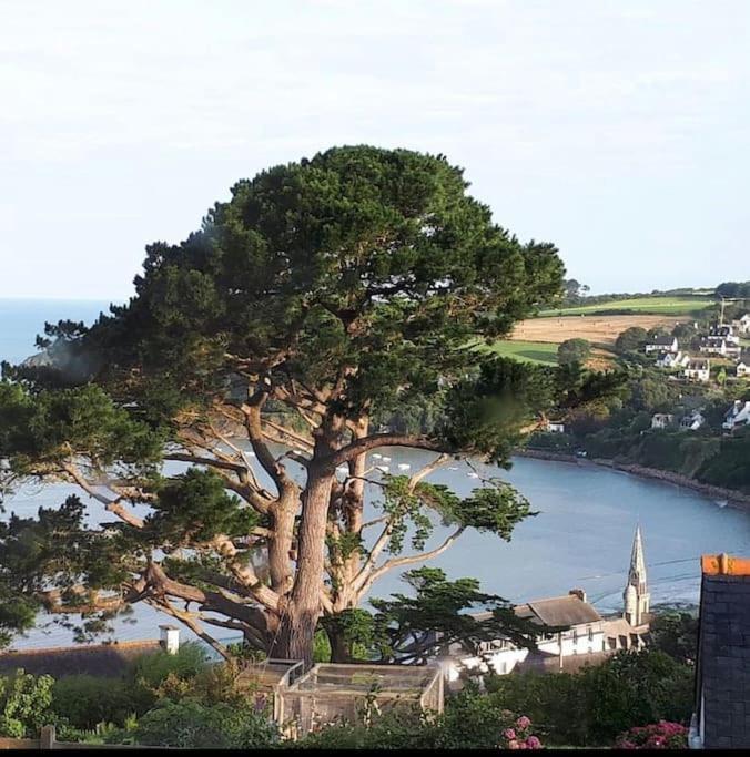 La Villa Lena Saint-Michel-en-Grève Buitenkant foto